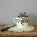 Antique Mug Cup Brown Transferware B&G Chrysanthemums Home Decor Collectible
