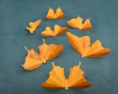 3D Butterfly Wall Art: 20 Scorched Script Paper Butterflies for Wall Decor, Nursery, Children's Room