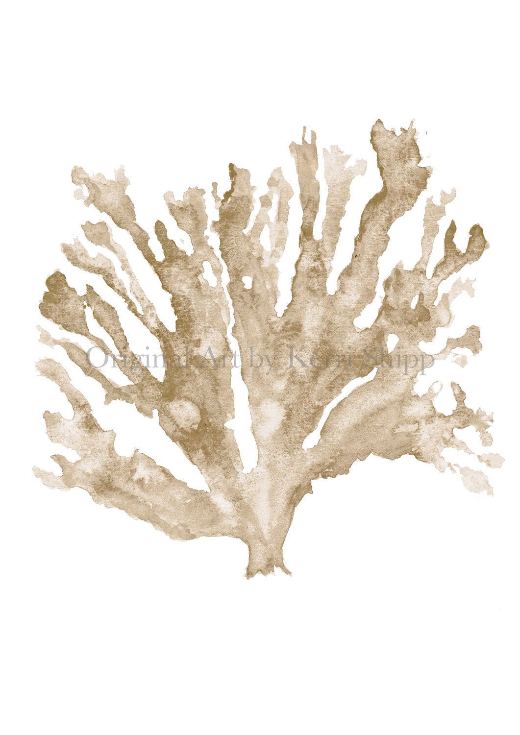 Sea Coral in Natural - NEW