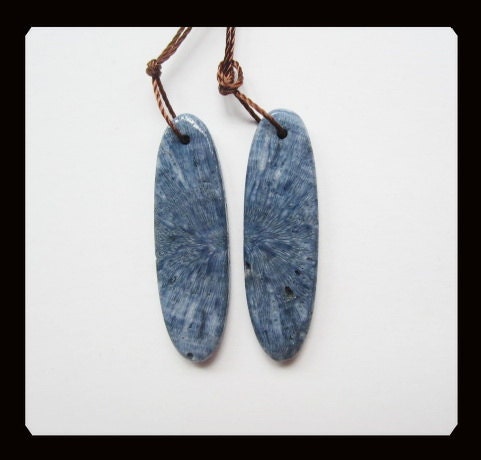 Natural Blue Fossil Coral Oval Earring Beads,10x34x4mm,4.26g