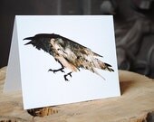 Raven Card - Eco Friendly, Recycled : Silhouette In Bark, Wild Pulp Stationery - Animal, Bird Art, Nature Photography