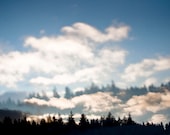 Ethereal forest photography. Pine trees, clouds & blue sky. Woodland fantasy wall art home decor, fine art photograph. 8x10 photo