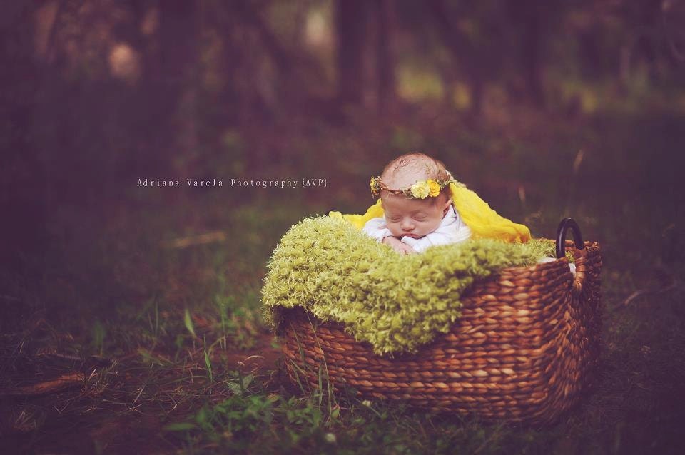 Yellow Newborn Flower Crown