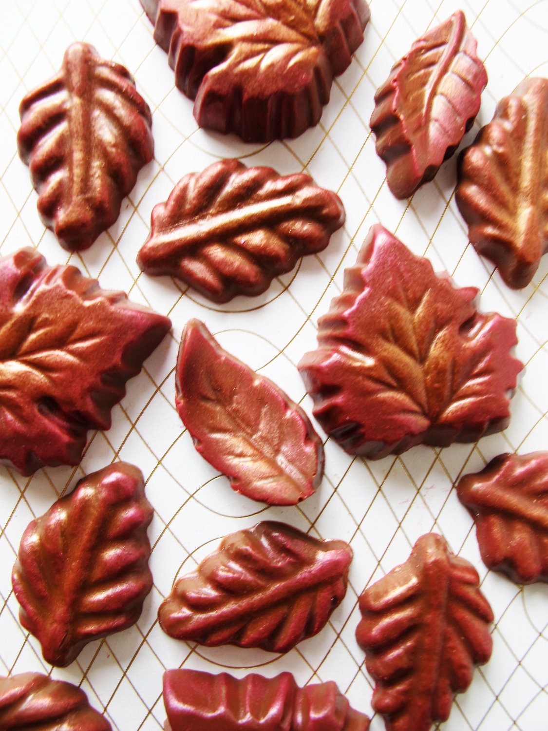 12 Chocolate Leaves: Burnt Violet Il_570xn