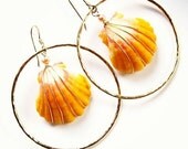 Sunrise Shell Earrings, Gold Hammered Hoops, Rare Hawaiian Shell, Orange, Pink, Hawaii Beach Jewelry, Summer Fashion