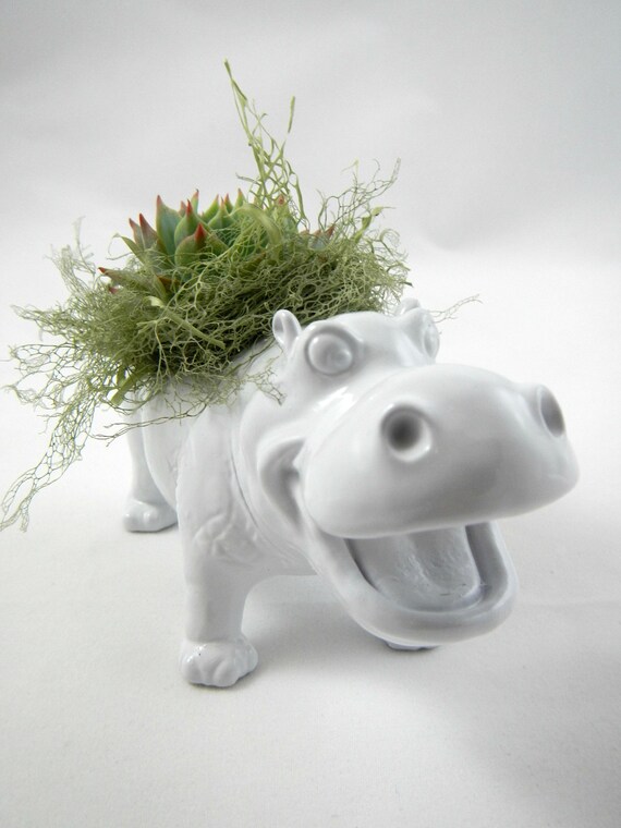 White Hippo Planter - Mini Modern Art Centerpiece