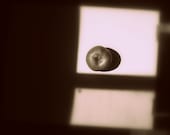 Noir Apple Still / Black and White Food Photography- Apple Still Life-Sepia Toned Still Life 8x10 Modern Art Print