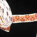 Vintage White Backing with Yellow and Red Embroidered Owl Trim