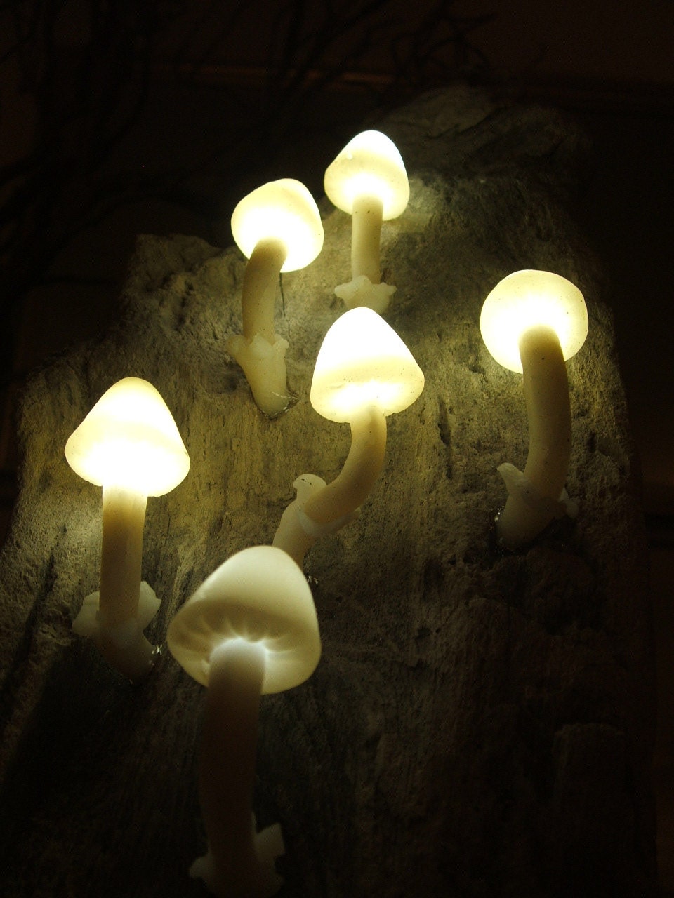 Magical Mushrooms. Shroom and Driftwood l.e.d. Mood Lighting Lamp Sculpture.