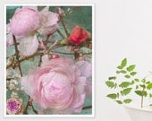 Flower Photo 8x10 Shabby Chic Pink Ranunculus Floral Home Decor pastels aqua mint red bohemian