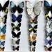 Butterfly Moth Magnets, Tropical Rainforest Butterflies, Wholesale Lot of 24 Insects Refrigerator Magnets