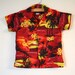 Hawaiian Print Shirt and Shorts Set, Baby Toddler Kids Size 2T