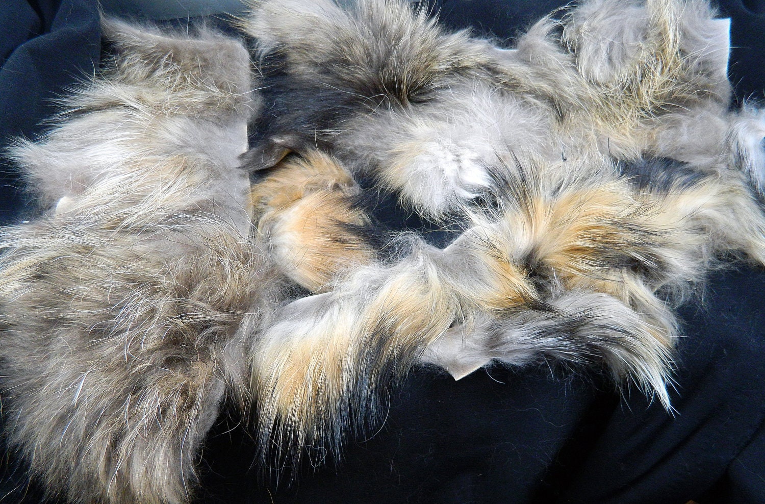 Lot of Russian RACCOON RR2 Premium Fur Scraps Arctic Store Arktika Russia