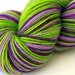 Self Striping Sock Yarn, Superwash Merino and Nylon Fingering Weight, in "Primula Auricula"