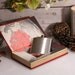 Hollow Book and Whiskey Hip Flask - The Russian Revolution