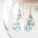 Real Forget-me-not Flowers Earrings - blue Forget me not in Resin - Myosotis sylvatica