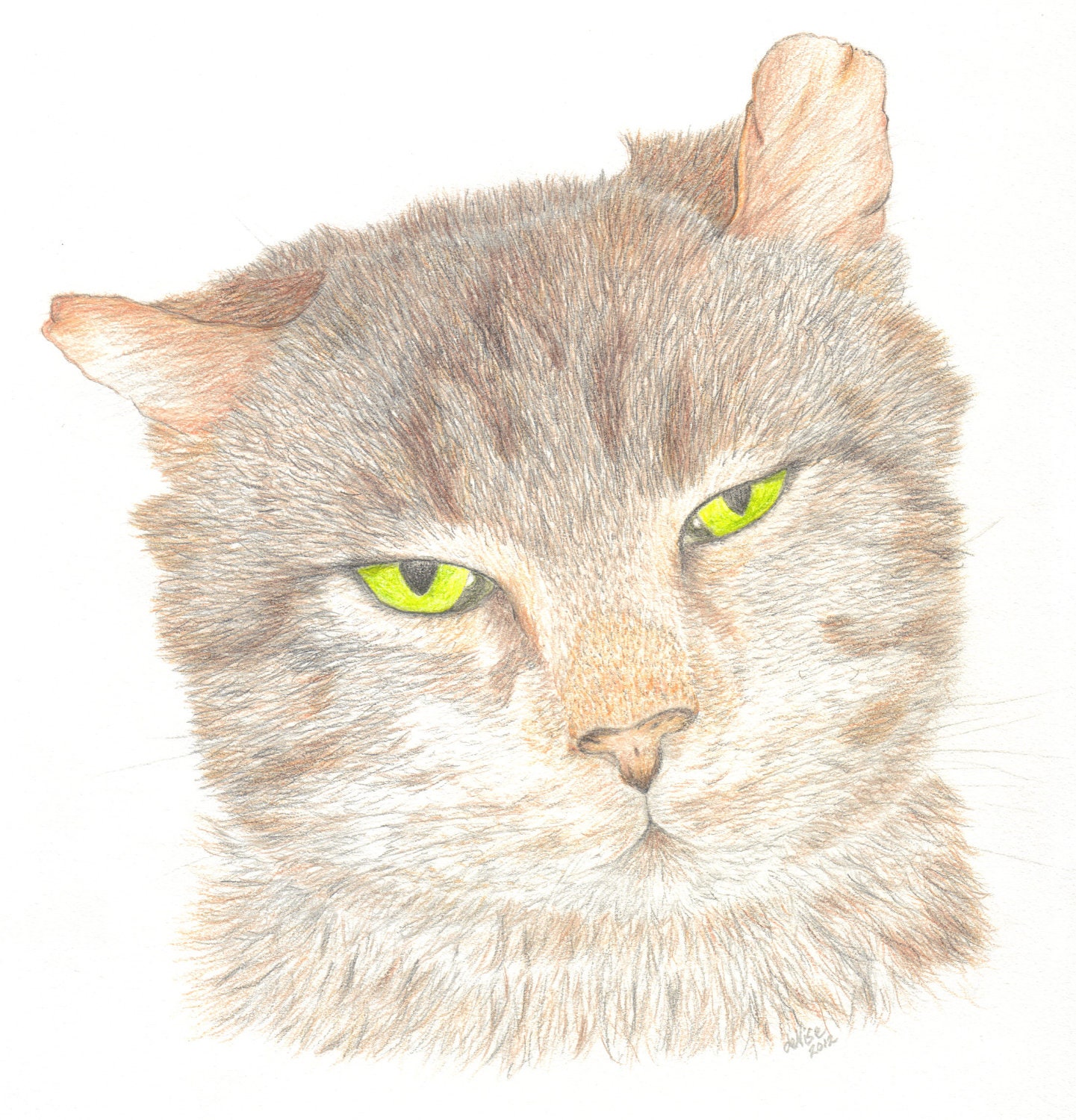 Custom Pet Portrait from your Favorite Photograph