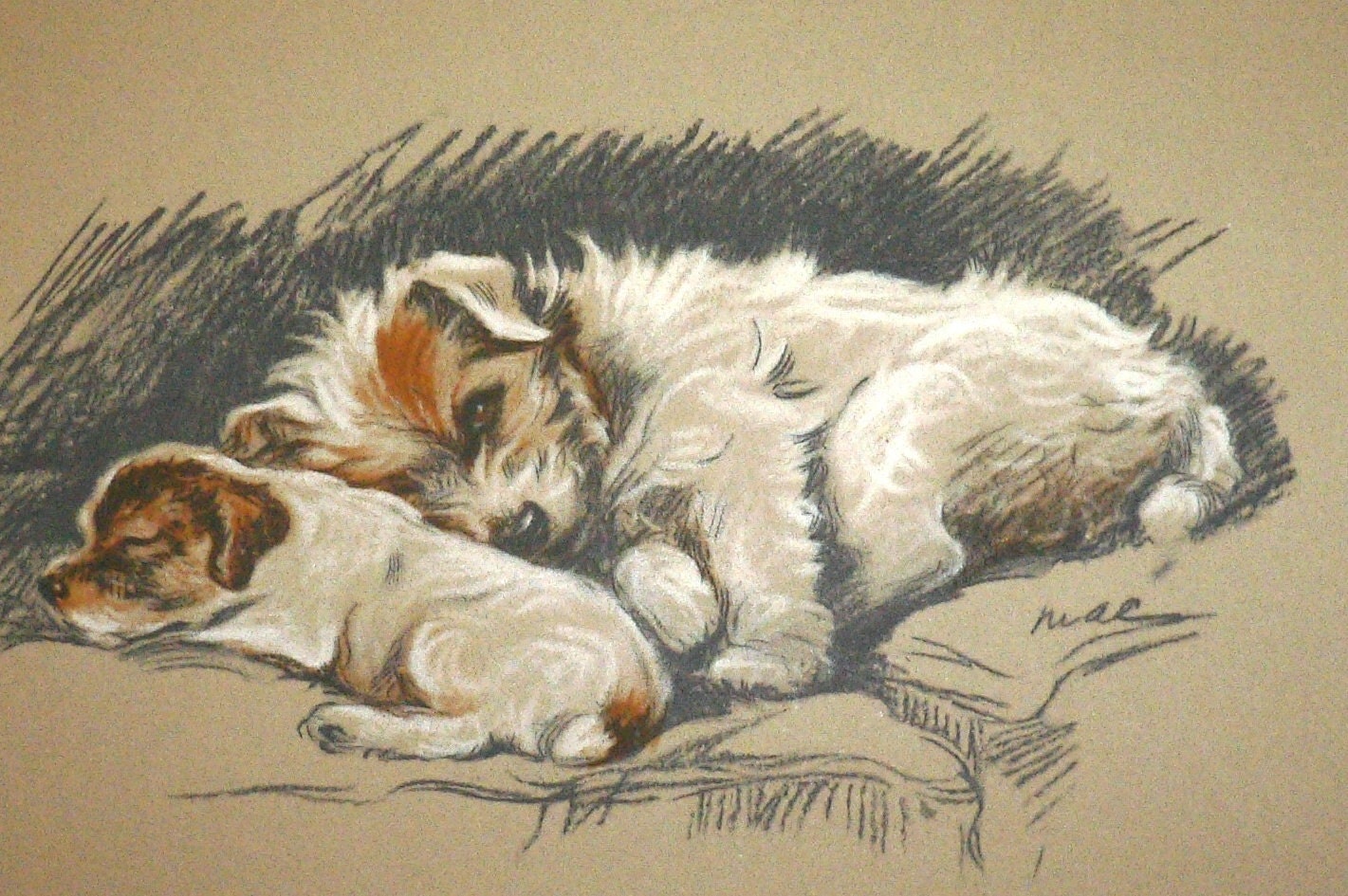 FRAMED Signed mounted 1936 Lucy Dawson Patch with pup sealyham terrier dog plate/print gift