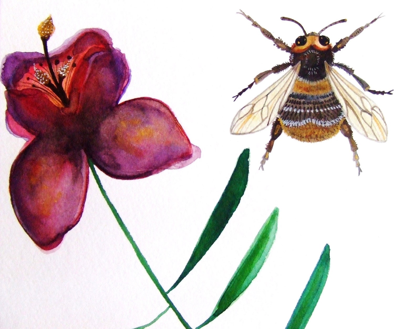 Bee Original Watercolor Painting Flower Insect Plant Botany Bee Drawing Ink Art Pink Green Decor Fine Art Still Life Bee Flower Insect Art