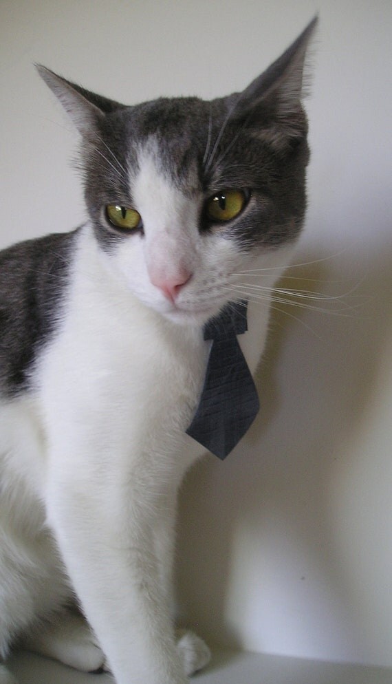 Items similar to Denim Duct Tape Cat Tie on Etsy