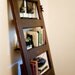Vintage Door Repurposed Bookshelf- WOODie (Shelf 012)