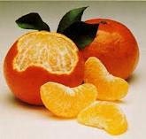 TANGERINE DREAM  Scent,  Homemade Highly Fragranced Soy Votives