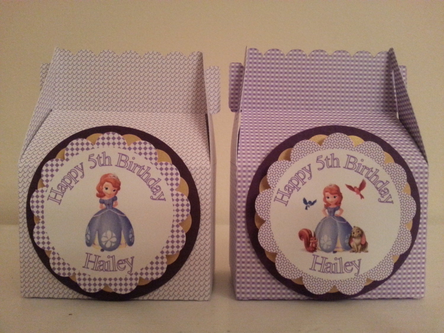 Sofia the First Favor Boxes 10 (PLUS 2 FREE)