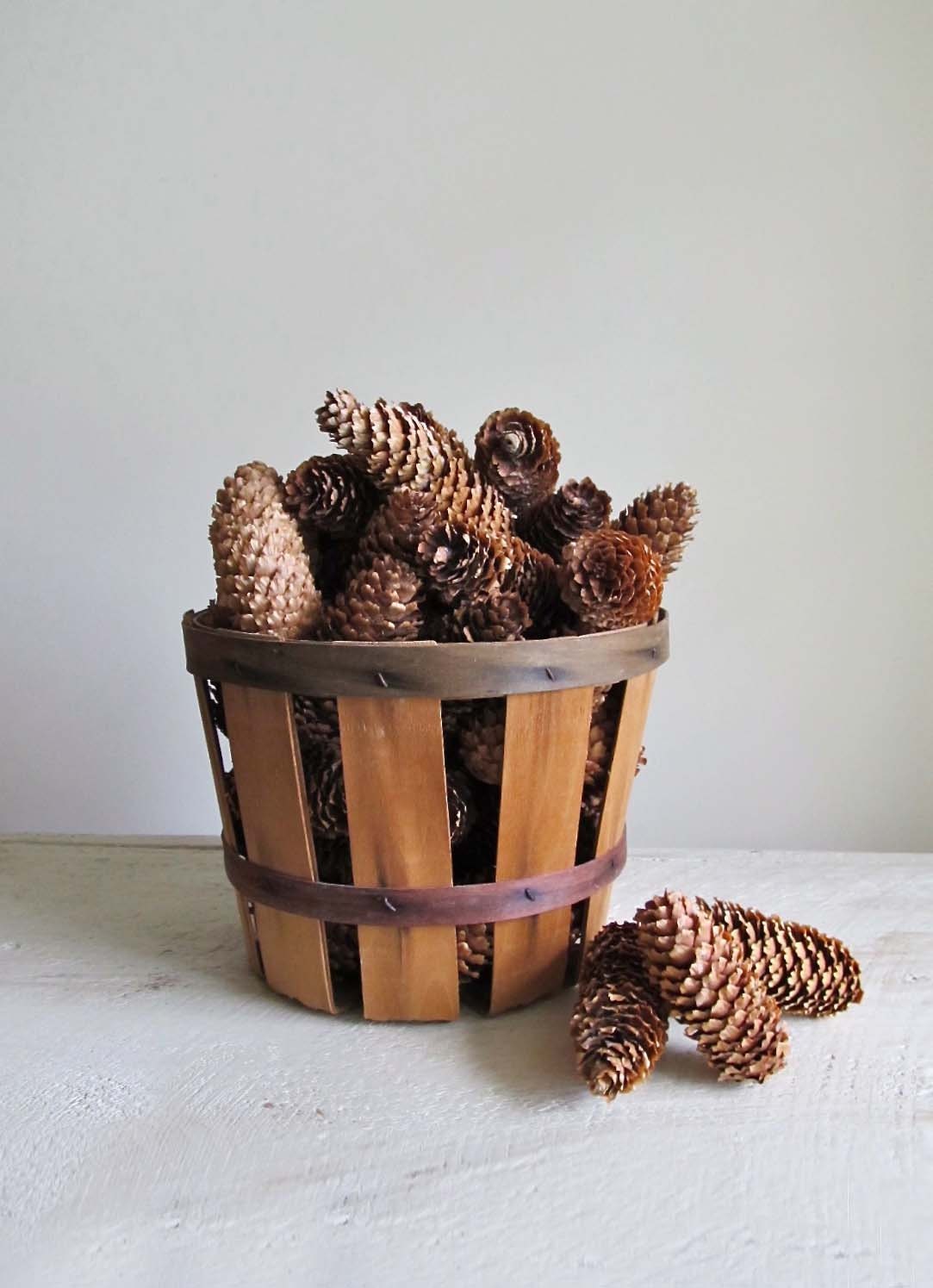 60 Natural Spruce Cones - cattales