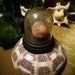 OOAK tiny mini coral specimen curio display wunderkammer sculpture pink