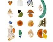 Campobello Beachcombing series No.4 - 12 x 12 photograph - beach stone, seashell, seaglass, beach glass