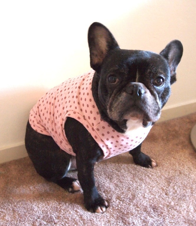 Polka dot sweatshirt