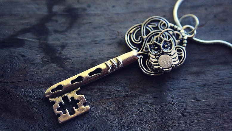 Tiny Silver Owl and Key Charm Necklace