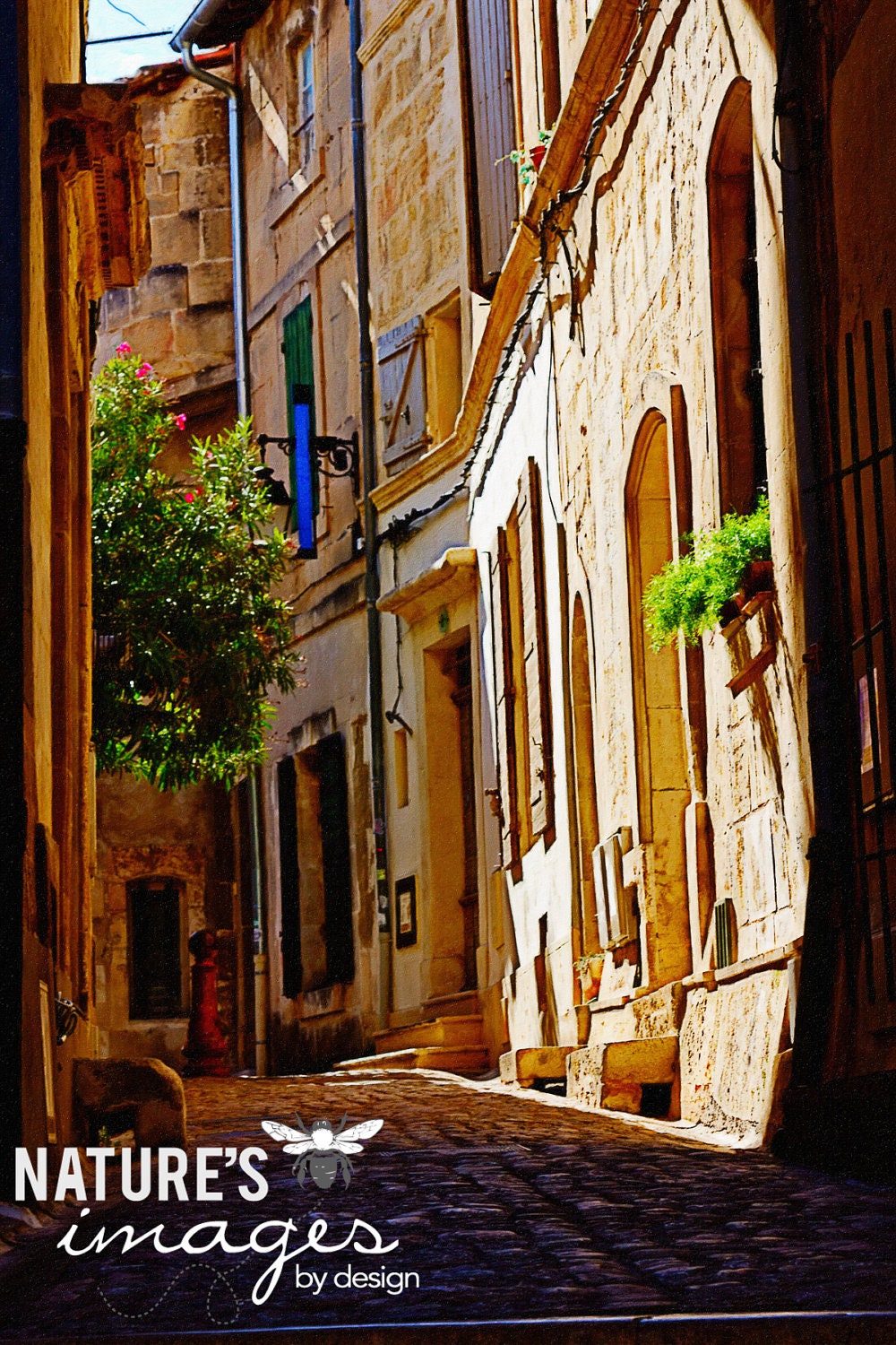 Side Streets of Provence, French Streets Image,  2013 Oscars GBK Gift Lounge, Travel Photography, wall art, home decor, 8x12 print