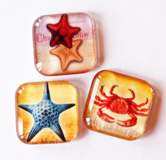 Beach Fridge Glass by