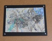 NYC Subway Map - Screen Printed Brooklyn Monk Parrot