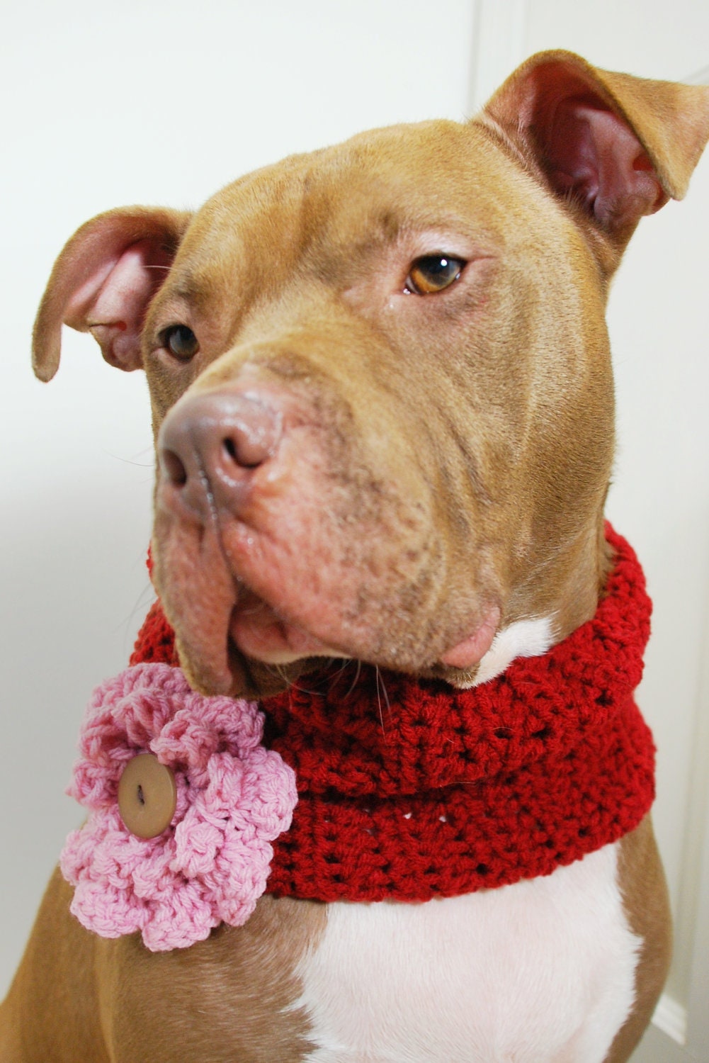 Crochet Dog Cowl Cranberry Red with Pink Flower for Large Breeds