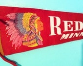 Vintage Felt Pennant Banner- Minnesota Red Wing