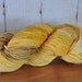 Hand Dyed Superwash BFL Wool DK Sport Yarn - Buttery