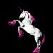 Sticker: Unicorn on Roller Skates