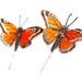 Orange Monarch Butterfly Hair Pins - Hair Accessories