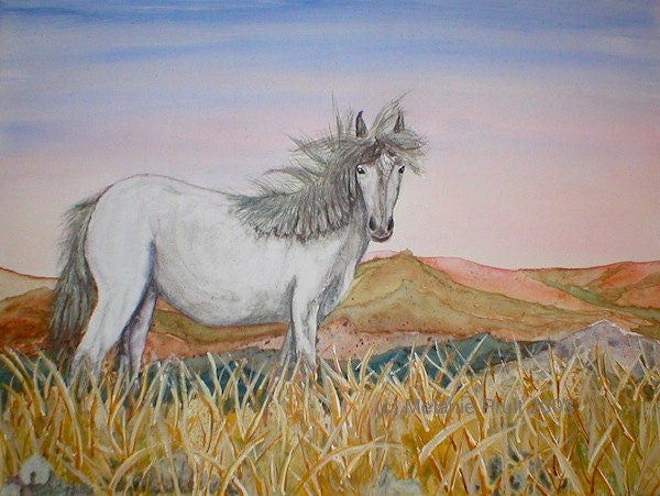 Clearance SALE12x16 HORSE Wildlife original WATERCOLOR painting CANVAS by M Pruitt