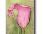 ACEO watercolor CALLA  original painting lily
