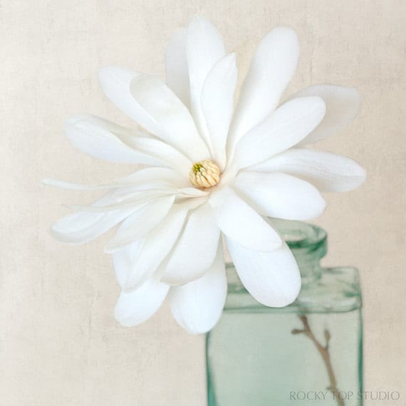 Flower Photography, Magnolia Flower, Botanical Print, Floral Art Print, Girls Bedroom Wall Art, Girls Room Wall Decor, White, Aqua, Teal