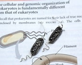 Bacterium Earrings