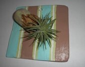 Multi Dimensional  Striped Brown Blue  Wall Hanging Tillandsia Air Plant Planter OOAK Painting  BIG SALE