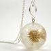 Dandelion Season Has Started, Large Resin Round with Full Dandelion and Sterling Silver Chain, Dandelion Pendant