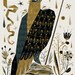 King Hawk - 150 limited edition