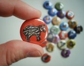 1" PINS set of 6 assorted buttons with the under appreciated animals A-Z bright colored educational and decorative by mightypigeon