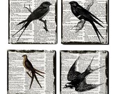 Barn Swallow Bird Wood Coasters (Set of 4) Spring Song Bird Art, dictionary book page Coaster Art DC016