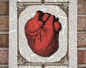 Canvas Wall Art - Anatomical Heart - Gothic Home Decor